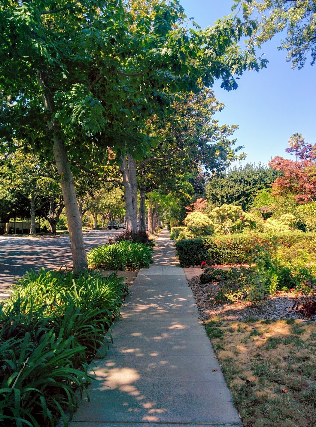 Palo Alto sprawls like this for miles.